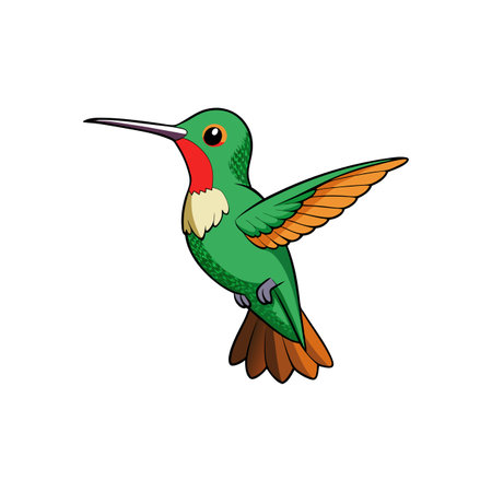 Colorful cartoon hummingbird with wings outstretched, isolated on whiteのイラスト素材