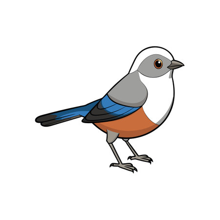 Cartoon bluebird illustration standing isolated on white background.のイラスト素材