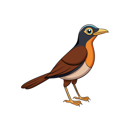 Cartoon robin illustration standing profile on a white backgroundのイラスト素材