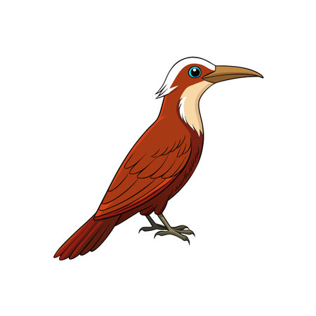 Cartoon brown bird illustration on white background stock imageのイラスト素材