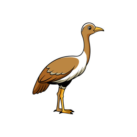 Cartoon Cariama cristata illustration standing isolated on white backgroundのイラスト素材