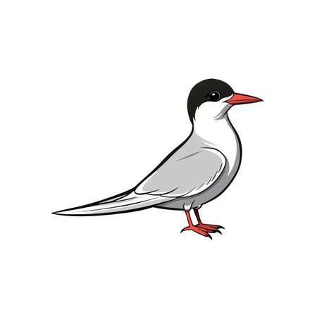 Stylized cartoon illustration of a single Common Tern birdのイラスト素材