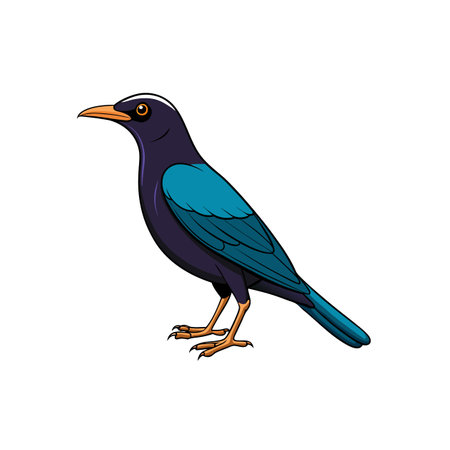 Cartoon illustration of a vibrant bird standing on a white backgroundのイラスト素材