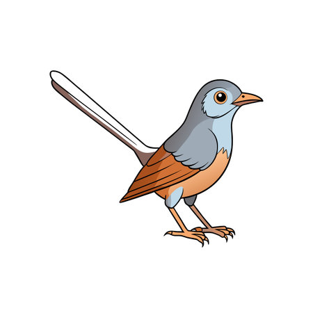 Cartoon bird illustration with outlined design and grey feathersのイラスト素材