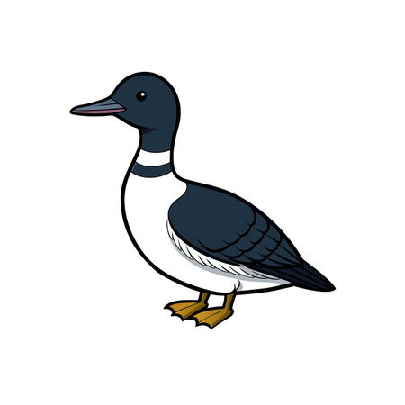 Cartoon illustration of a solitary bufflehead duck on whiteのイラスト素材