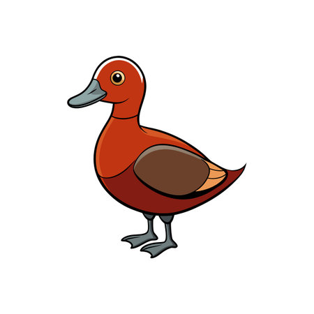 Cartoon style duck illustration standing on a white backgroundのイラスト素材