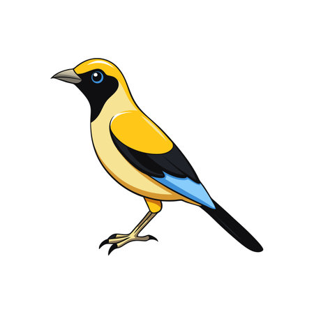 Cartoon oriole illustration with clean lines on a white backgroundのイラスト素材