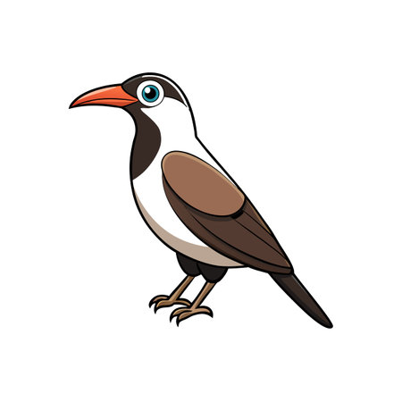 Cartoon brown and white bird on white background graphicのイラスト素材