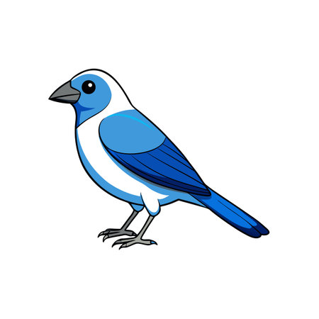 Cartoon blue bird standing, isolated on a white backgroundのイラスト素材