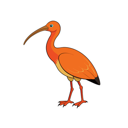Cartoon Illustration of Scarlet Ibis Bird in Orange Colorのイラスト素材