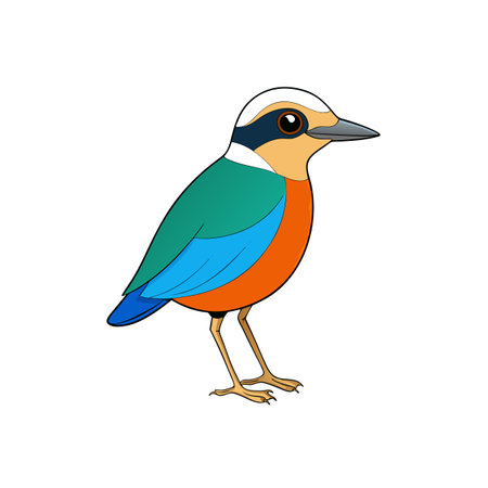 Vibrant Cartoon Bird on White Background with Various Colorsのイラスト素材