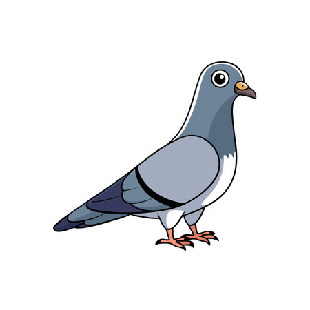 Cartoon Pigeon Standing Isolated on White Background Stock Illustrationのイラスト素材