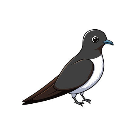 Cartoon illustration of a Chimney Swift bird on whiteのイラスト素材