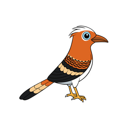 Cartoon drawing of colorful bird in a standing positionのイラスト素材