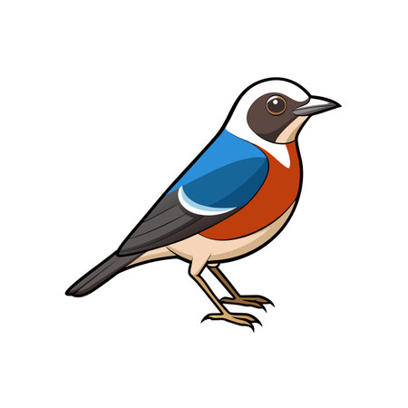 Cartoon illustration of a colorful bird against white backdropのイラスト素材