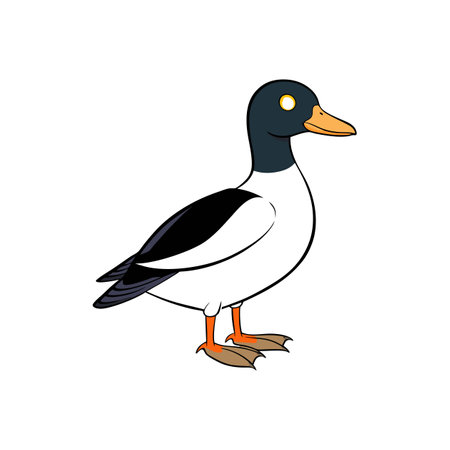 Cartoon illustration of a cute duck standing isolatedのイラスト素材