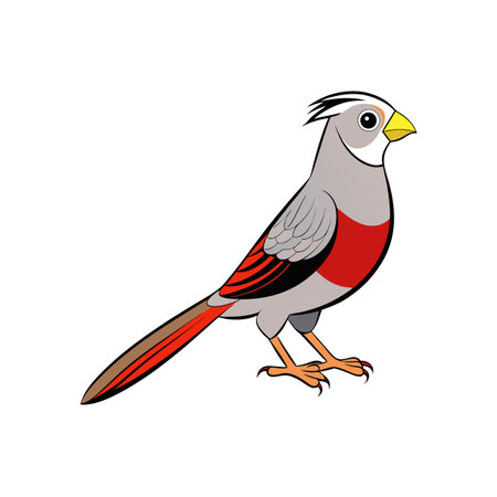 Illustration of a cardinal bird with gray and red plumageのイラスト素材