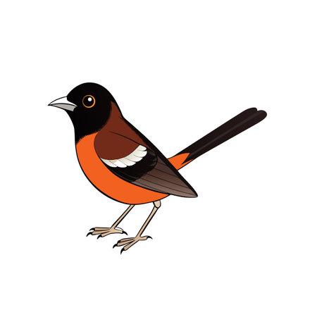 Illustration of a colorful Eastern Towhee bird standing uprightのイラスト素材