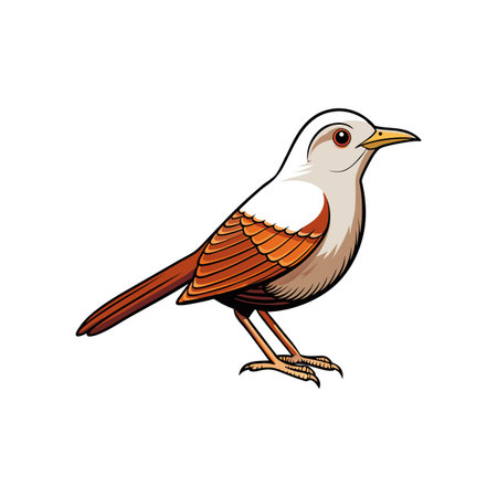 Cartoon style rufous colored bird illustration on a white backgroundのイラスト素材