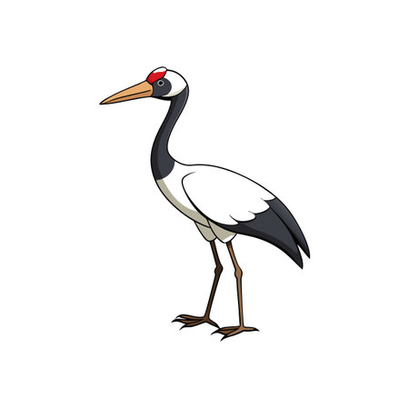Cartoon Illustration of a Red-Crowned Crane on White Backgroundのイラスト素材