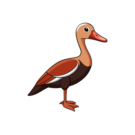 Cartoon duck standing on white background in vector formatのイラスト素材