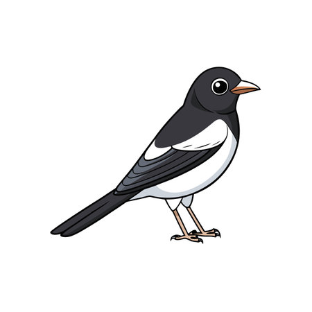 Cartoon style illustration of a magpie standing tallのイラスト素材
