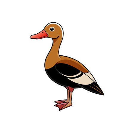 Cartoon black bellied whistling duck isolated on white backgroundのイラスト素材