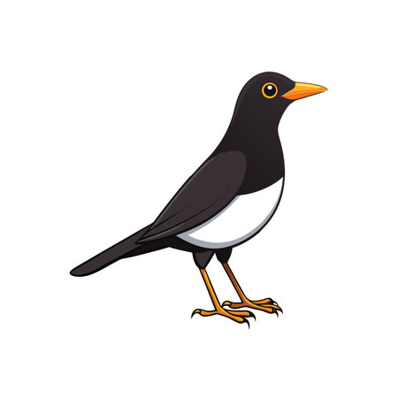 Cartoon illustration of a standing bird with clean linesのイラスト素材