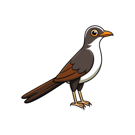 Cartoon cuckoo illustration on white background stock imageのイラスト素材