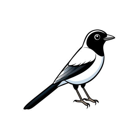 Cartoon Illustration of a Magpie Bird on White Backgroundのイラスト素材