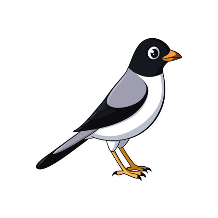 Cartoon bird vector illustration on white background isolated designのイラスト素材