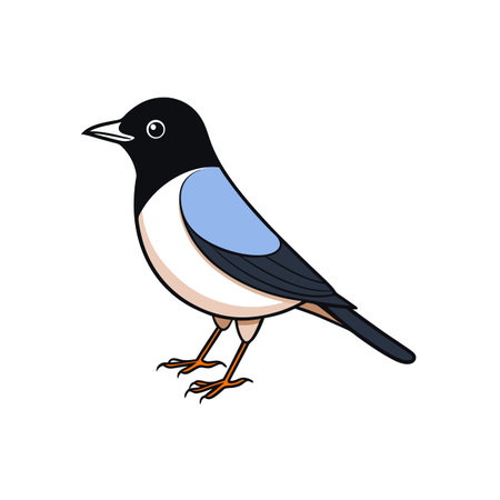 Stylized illustration of a magpie with bright colors and outlineのイラスト素材