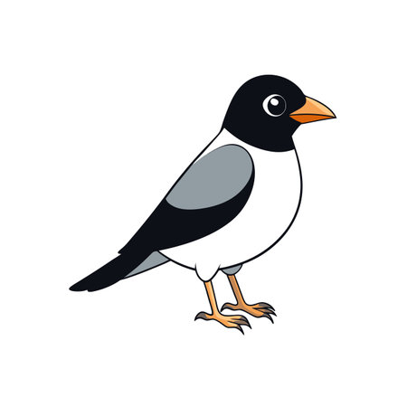 Cute black and white bird illustration with orange beakのイラスト素材