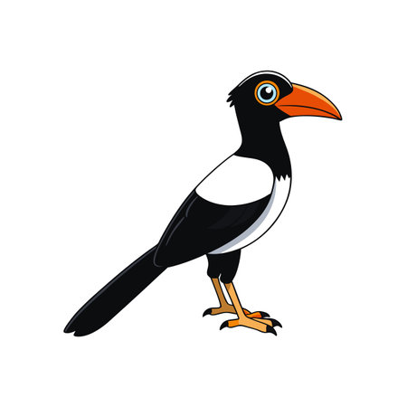 Cartoon illustration of a magpie bird standing sidewaysのイラスト素材