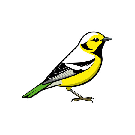 Colorful cartoon bird illustration on white isolated backgroundのイラスト素材