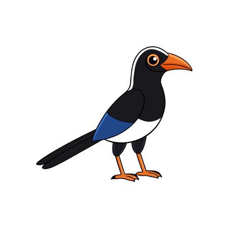 Cartoon magpie illustration standing isolated against white backgroundのイラスト素材