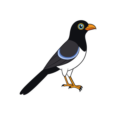 Cartoon illustration of a magpie standing on white backgroundのイラスト素材
