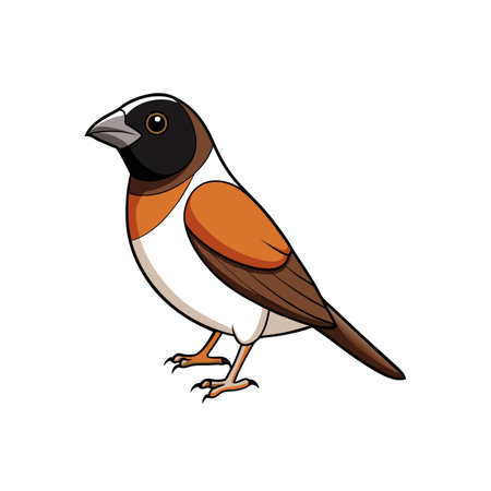Cartoon brown bird illustration on white background vector imageのイラスト素材