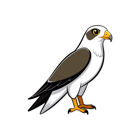 Cartoon illustration of a white and brown hawkのイラスト素材