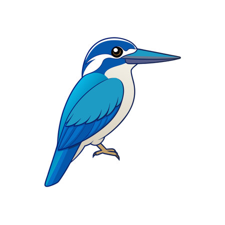 Isolated blue and white kingfisher vector illustration imageのイラスト素材