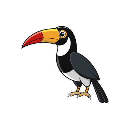 Cartoon toucan vector illustration with simple and clean designのイラスト素材