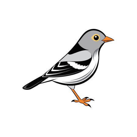 Cartoon gray bird with orange beak and legs illustrationのイラスト素材