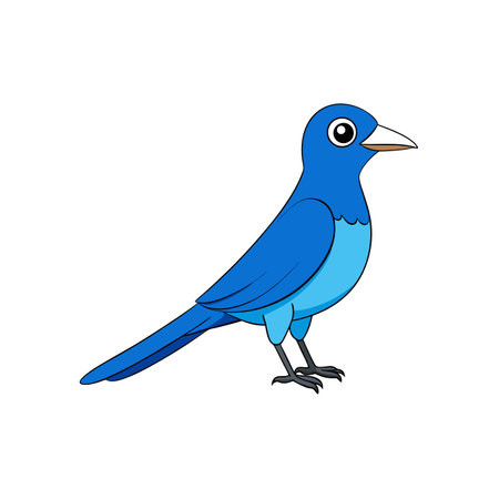 Cartoon bluebird vector illustration, birdwatching, avian wildlife conceptのイラスト素材