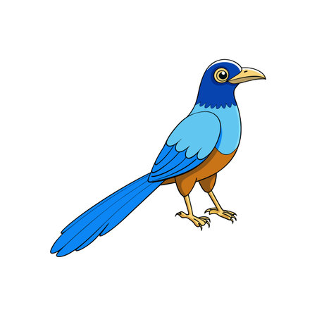 Cartoon illustration of a blue bird with a long tailのイラスト素材