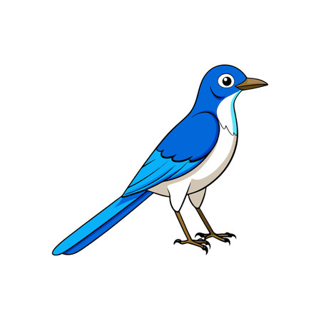 Cartoon Bluebird illustration with black outline on white backgroundのイラスト素材