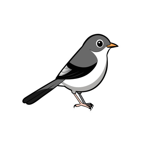 Cartoon bird illustration with a clean, white backgroundのイラスト素材