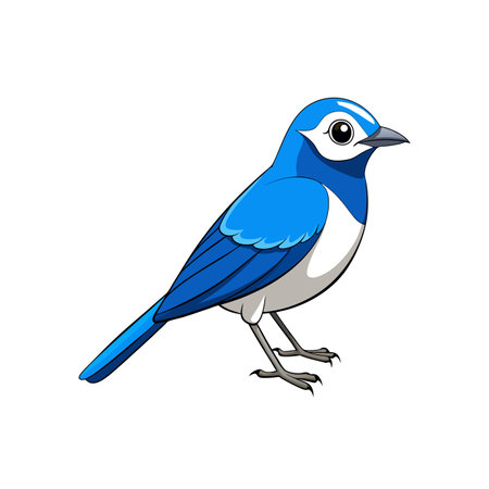 Cartoon blue bird illustration on white background, cute designのイラスト素材