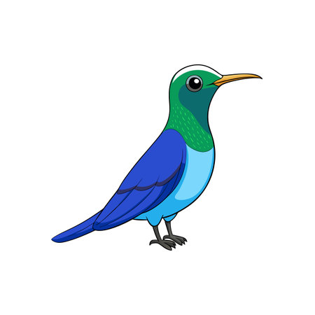 Illustration of a colorful hummingbird on a white backgroundのイラスト素材