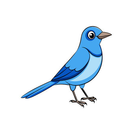 Cute bluebird standing isolated on a white background imageのイラスト素材