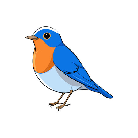 Cartoon bluebird illustration with orange chest and black outlinesのイラスト素材